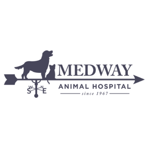 Medway Veterinarian - Medway Animal Hospital - Dr. Lisa Goldman
